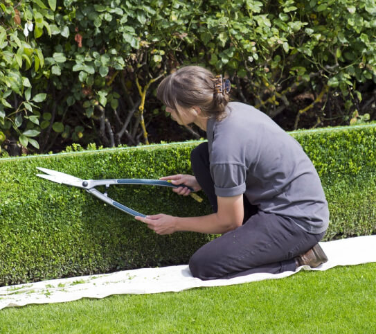 Elevate Your Environment: Essential Landscaping Services for Your Home